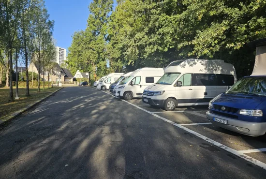 Rząd kamperów na wyznaczonych stanowiskach przy alejce obsadzonej drzewami w Antwerpii.